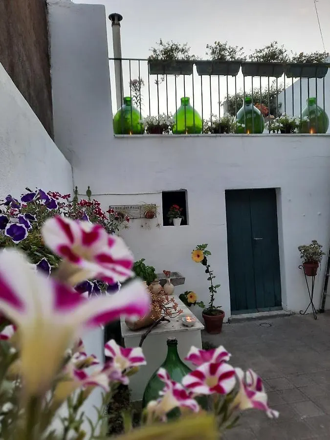 Argenta 111 Santa Tecla Acireale Villa Italy